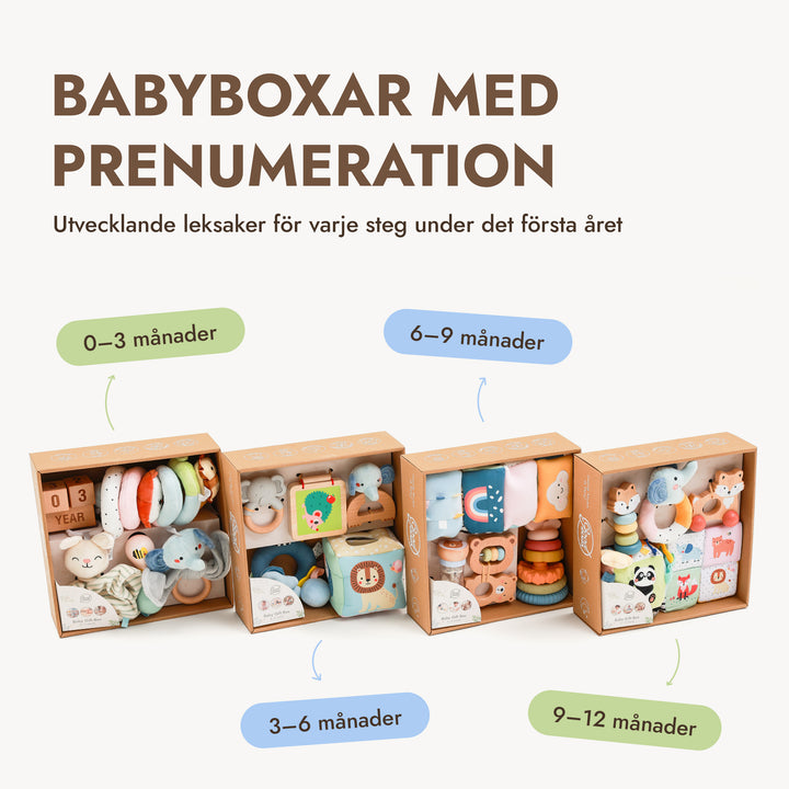 BabyBox – Lekkit för det första året (0–12 månader)