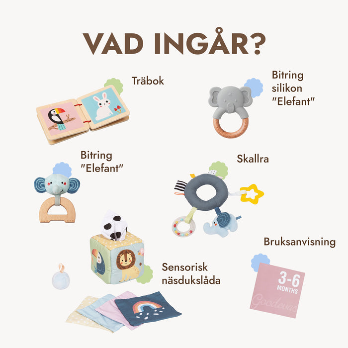 BabyBox – Lekkit för det första året (0–12 månader)