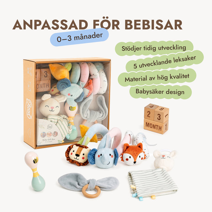 BabyBox – Lekkit för det första året (0–12 månader)