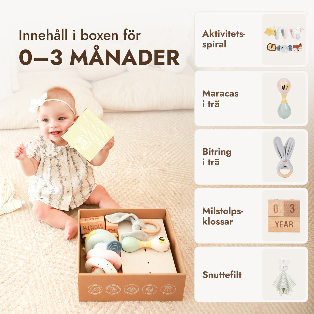 BabyBox – Lekkit för det första året (0–12 månader)