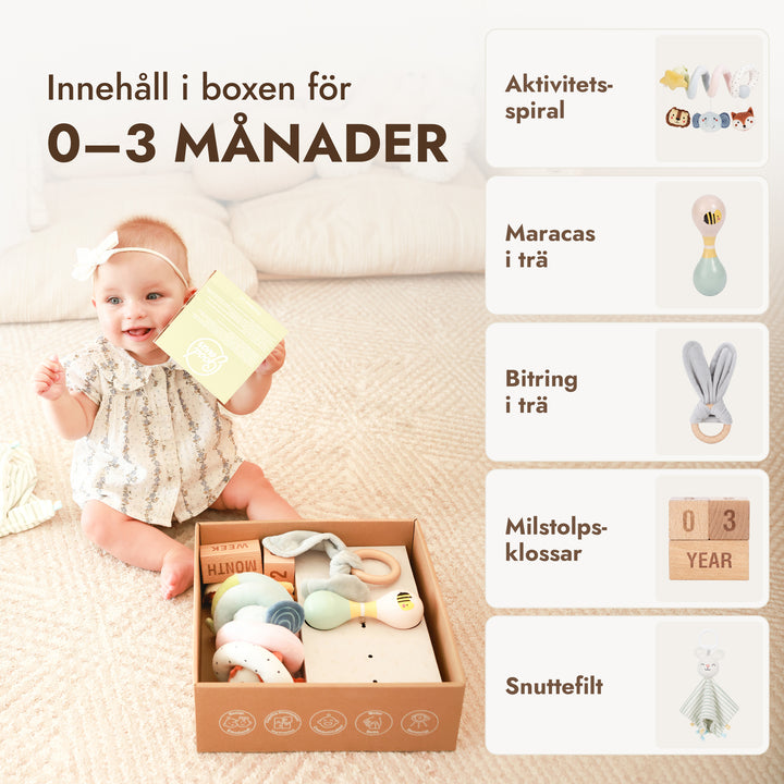 BabyBox – Lekkit för det första året (0–12 månader)
