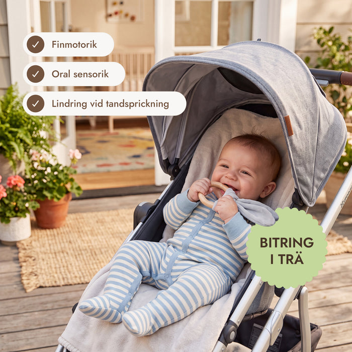 BabyBox – Lekkit för det första året (0–12 månader)