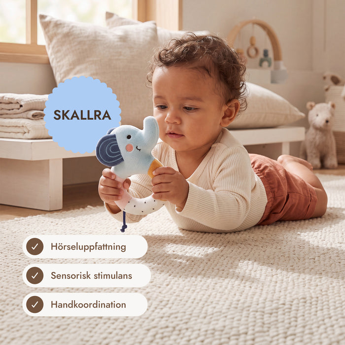 BabyBox – Lekkit för det första året (0–12 månader)