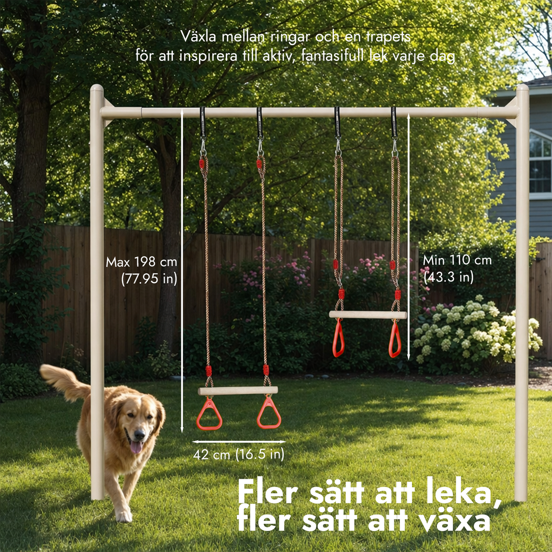2in1 gungset: Trapets + Gymnastikringar