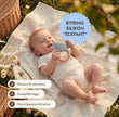 BabyBox – Lekkit för det första året (0–12 månader)