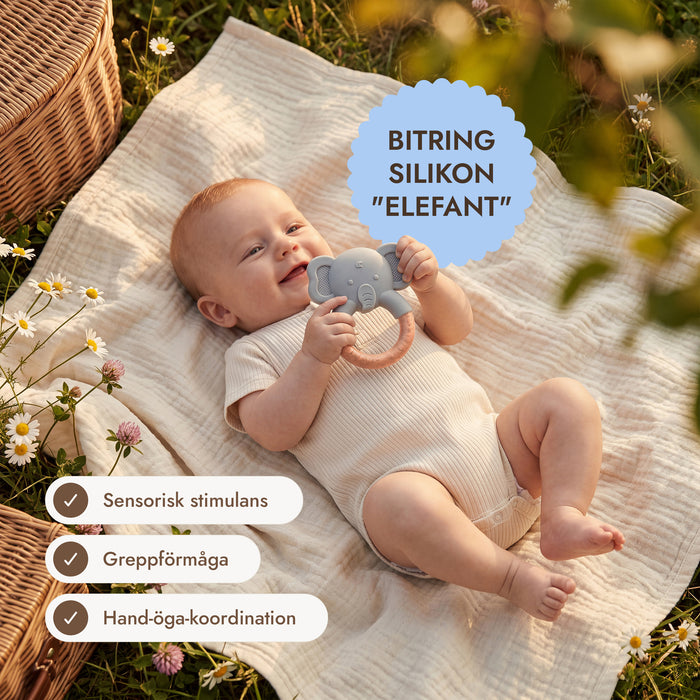 BabyBox – Lekkit för det första året (0–12 månader)