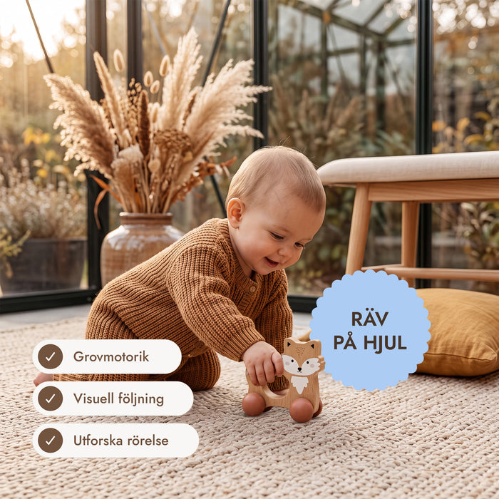 BabyBox – Lekkit för det första året (0–12 månader)